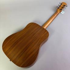 Taylor BT1_6