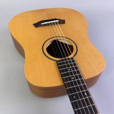 Taylor BT1_9