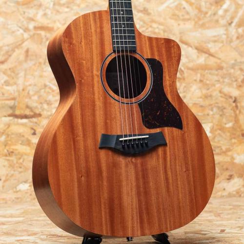 Taylor 24ce