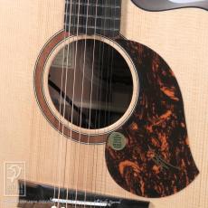 Maton SRS70C-12 (12-Strings)_12