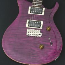 Paul Reed Smith [PRS] SE CUSTOM 24 ～Amethyst～ #CTIG118907 [3.54kg]【48回無金利】