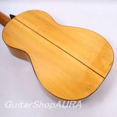 Joan Pellisa　[ジョアン・ペリッサ] トーレスモデル_6