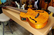 ARIA FET-F2 STBR  Fホール エレアコ サテン _5