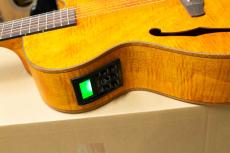 ARIA FET-F2 STBR  Fホール エレアコ サテン _8