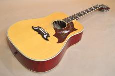 Gibson DOVE　2010年製_2