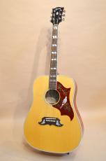 Gibson DOVE　2010年製_4
