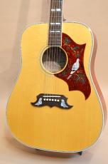 Gibson DOVE　2010年製_5
