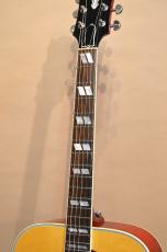 Gibson DOVE　2010年製_6