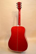 Gibson DOVE　2010年製_8