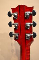 Gibson DOVE　2010年製_11