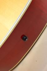Gibson DOVE　2010年製_15