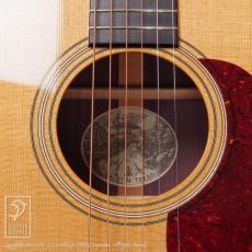 Collings D-2H Traditional (Torrefied Sitka Spruce)_11