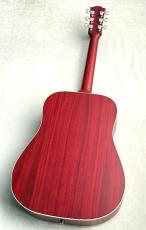 Gibson 【入荷速報!実物画像】Hummingbird Special【コスパ最強のハミングバードが新登場】【サテンフィニッシュ】_10