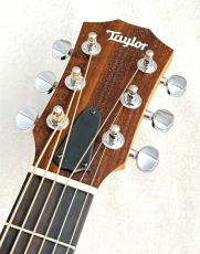 Taylor GS Mini-e special edition Blue Paisley  【スペシャルカラー!!】【サイズ感を超える鳴り】_4