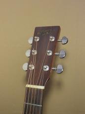 RECORDING KING RD-10_6