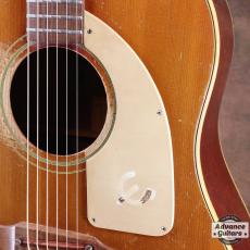 Epiphone 1968年製 FT-79 Texan_12