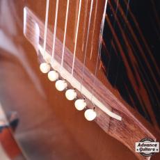 Gibson 2001年製  Nick Lucas_14