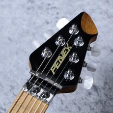 PEAVEY HP2 POPLAR BURL「Black」 良杢個体!_8
