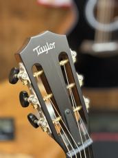 Taylor 【当店カスタムオーダー品】CTM 322ce 12F All Maho_6