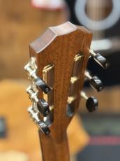 Taylor 【当店カスタムオーダー品】CTM 322ce 12F All Maho_7