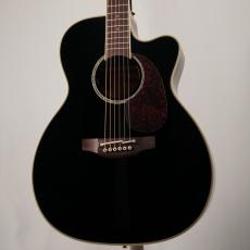 Takamine 【名古屋店10周年記念セール特価!】FPT752C BL
