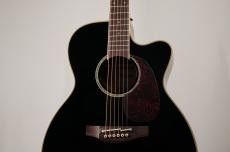 Takamine 【名古屋店10周年記念セール特価!】FPT752C BL_3