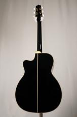 Takamine 【名古屋店10周年記念セール特価!】FPT752C BL_5