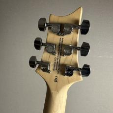 Paul Reed Smith [PRS] SE Swanp Ash Special - Iri Blue【現物画像】_9