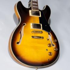 Ibanez JSM10EM John Scofield Signature 【現物画像】