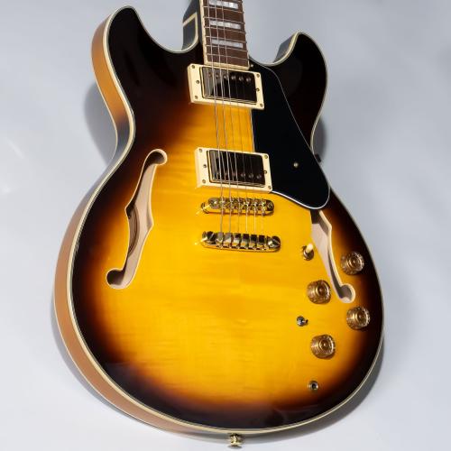 Ibanez JSM10EM John Scofield Signature 【現物画像】