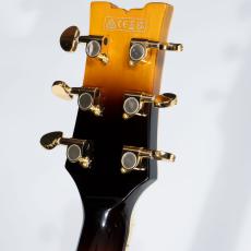 Ibanez JSM10EM John Scofield Signature 【現物画像】_5