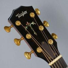 Taylor T5-S1 Natural BTO【2011年製】_3