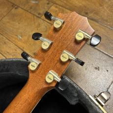 Taylor 815_8