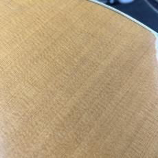 Taylor 815_11