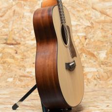 Taylor GT Urban Ash_4