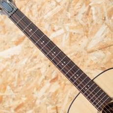 Taylor GT Urban Ash_6