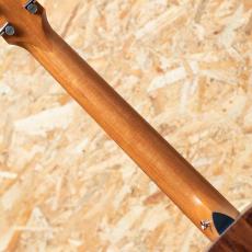 Taylor GT Urban Ash_7