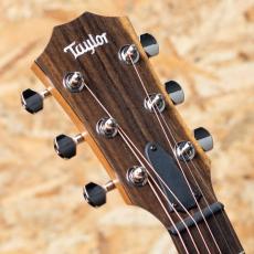 Taylor GT Urban Ash_8