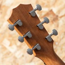 Taylor GT Urban Ash_9