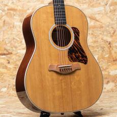 Taylor Gold Label 517e