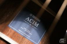 YAMAHA AC1M VN 2014_6