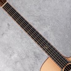 Morris S-101Ⅲ w/Trinity Pro System_6