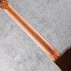 Morris S-101Ⅲ w/Trinity Pro System_7