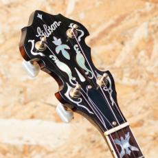 Gibson Granada Flying Eagle 1995_8