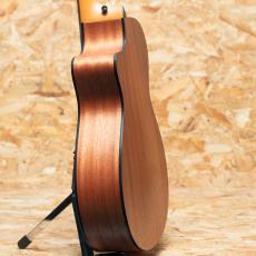 Taylor 112ce_5