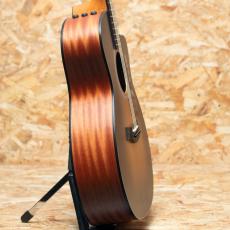 Taylor 114ce Special Edition_4