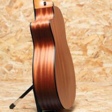 Taylor 114ce Special Edition_5