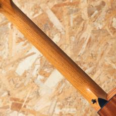 Taylor 114ce Special Edition_7