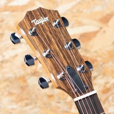 Taylor 114ce Special Edition_8