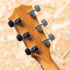 Taylor 114ce Special Edition_9